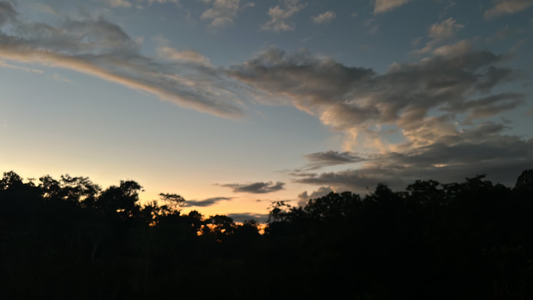 Atardecer sobre la selva
