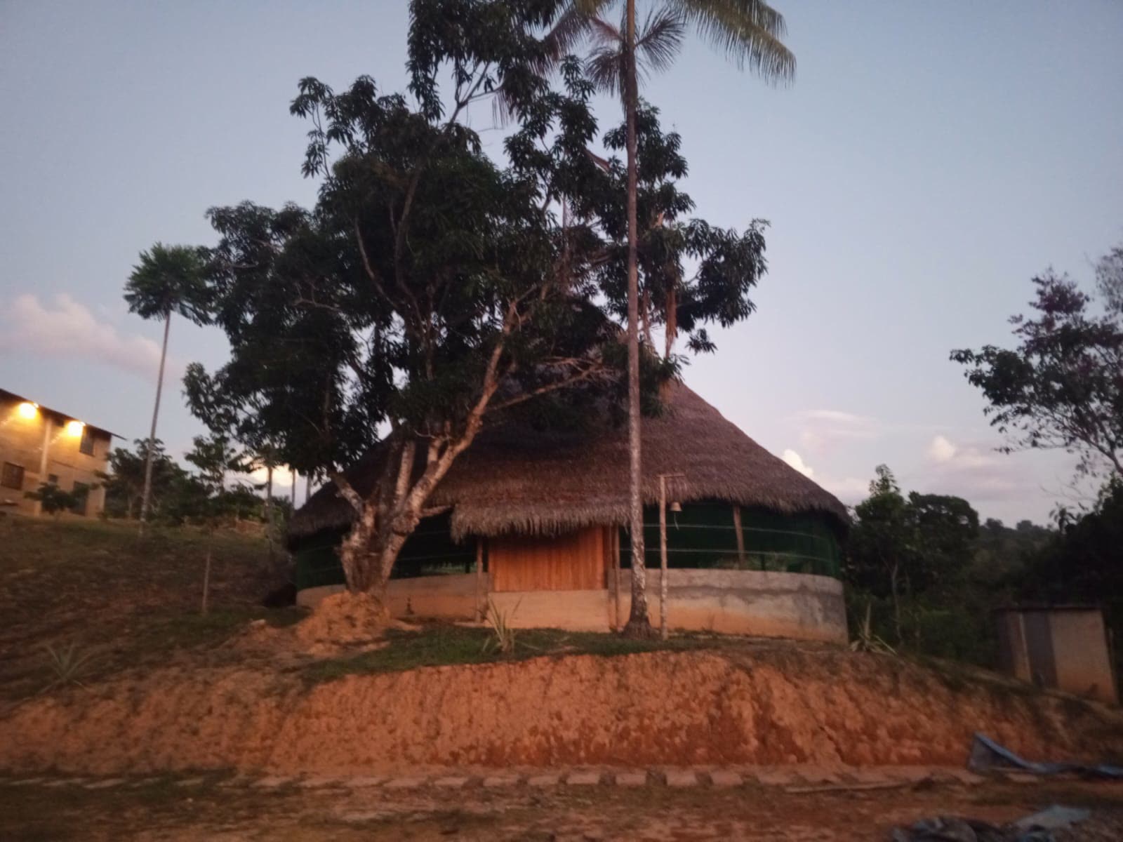 Choza de palma al atardecer