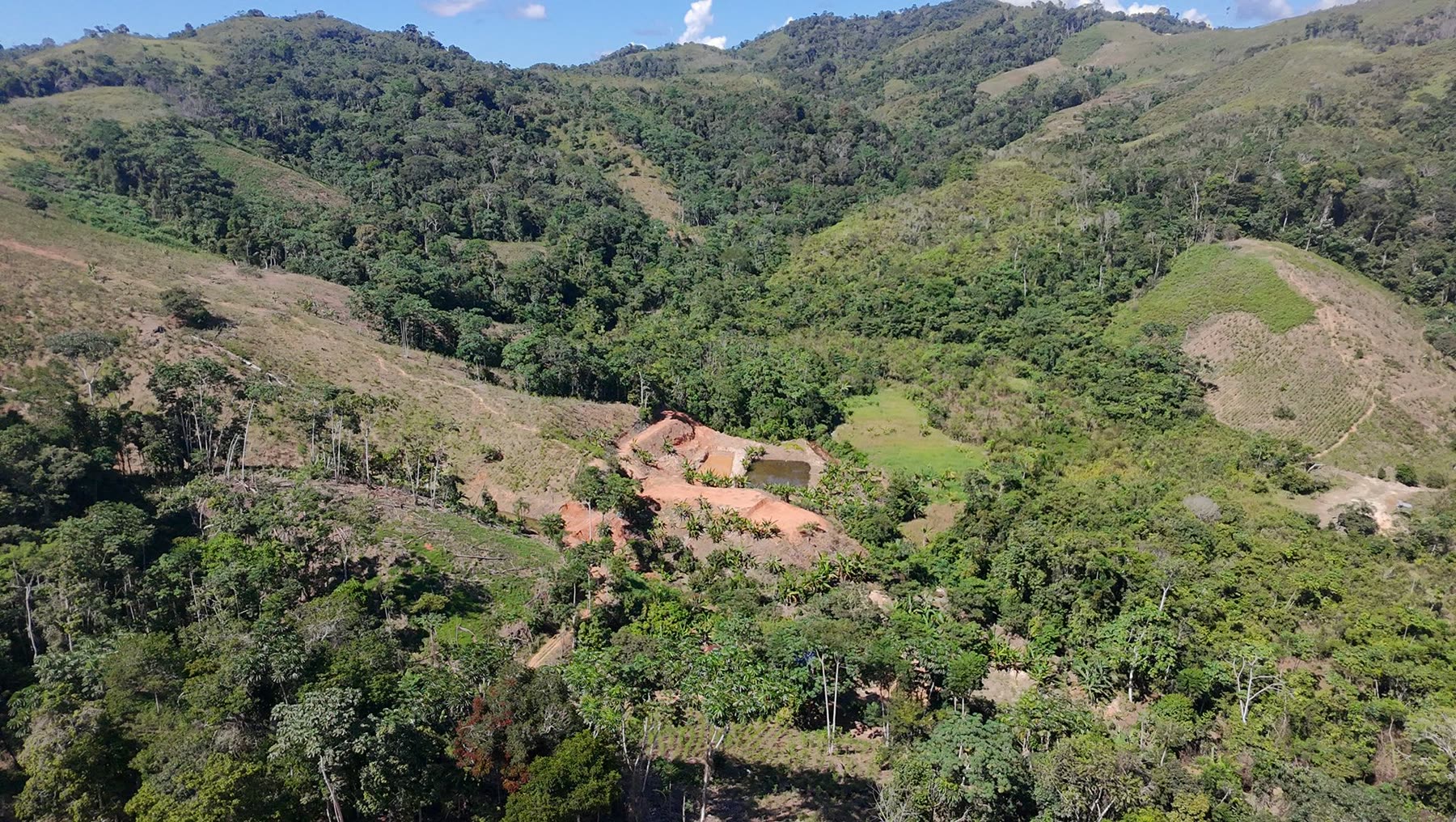 Colinas verdes y selva del valle
