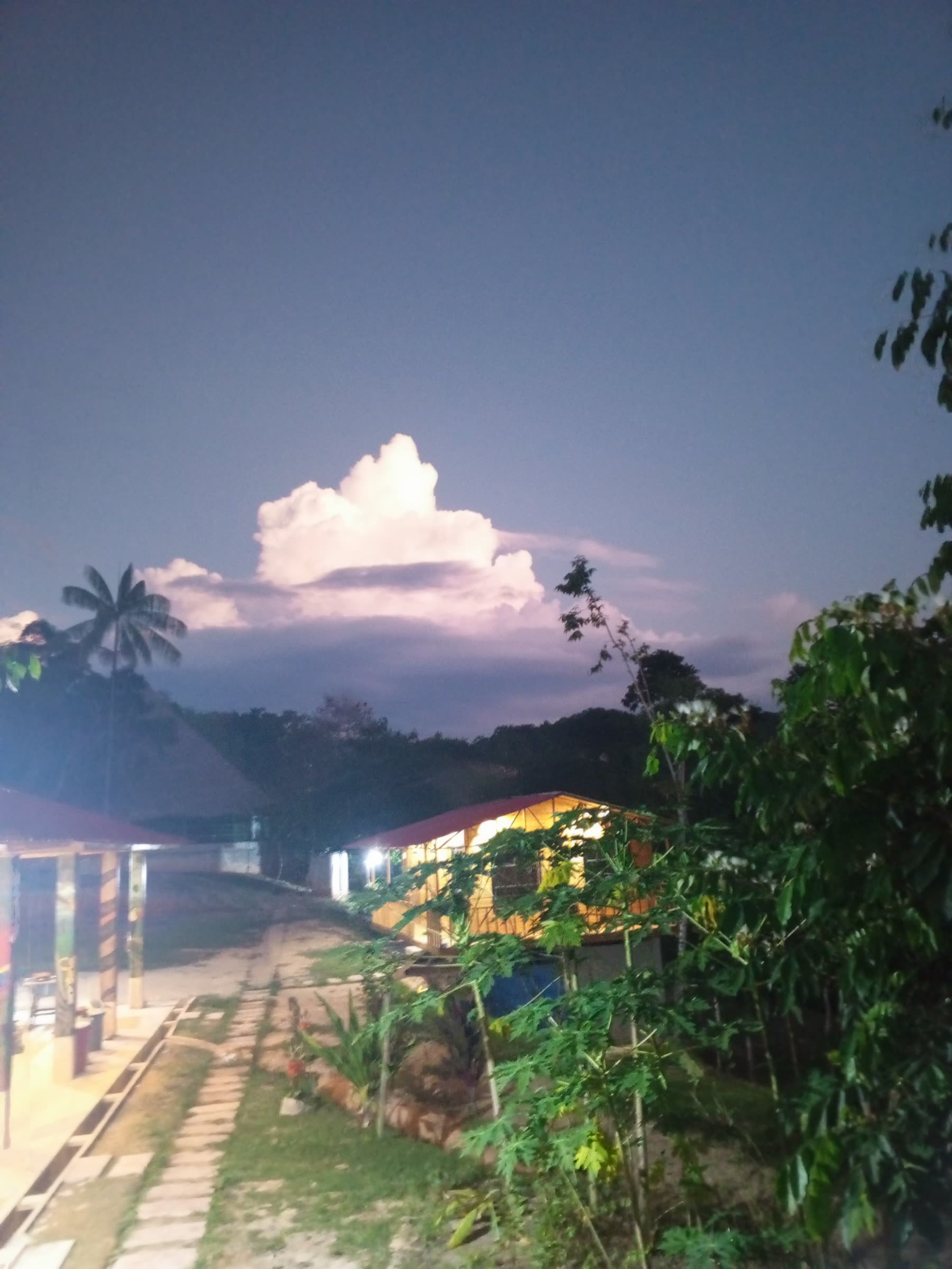 Maloca y bungalows de noche junto a una palmera