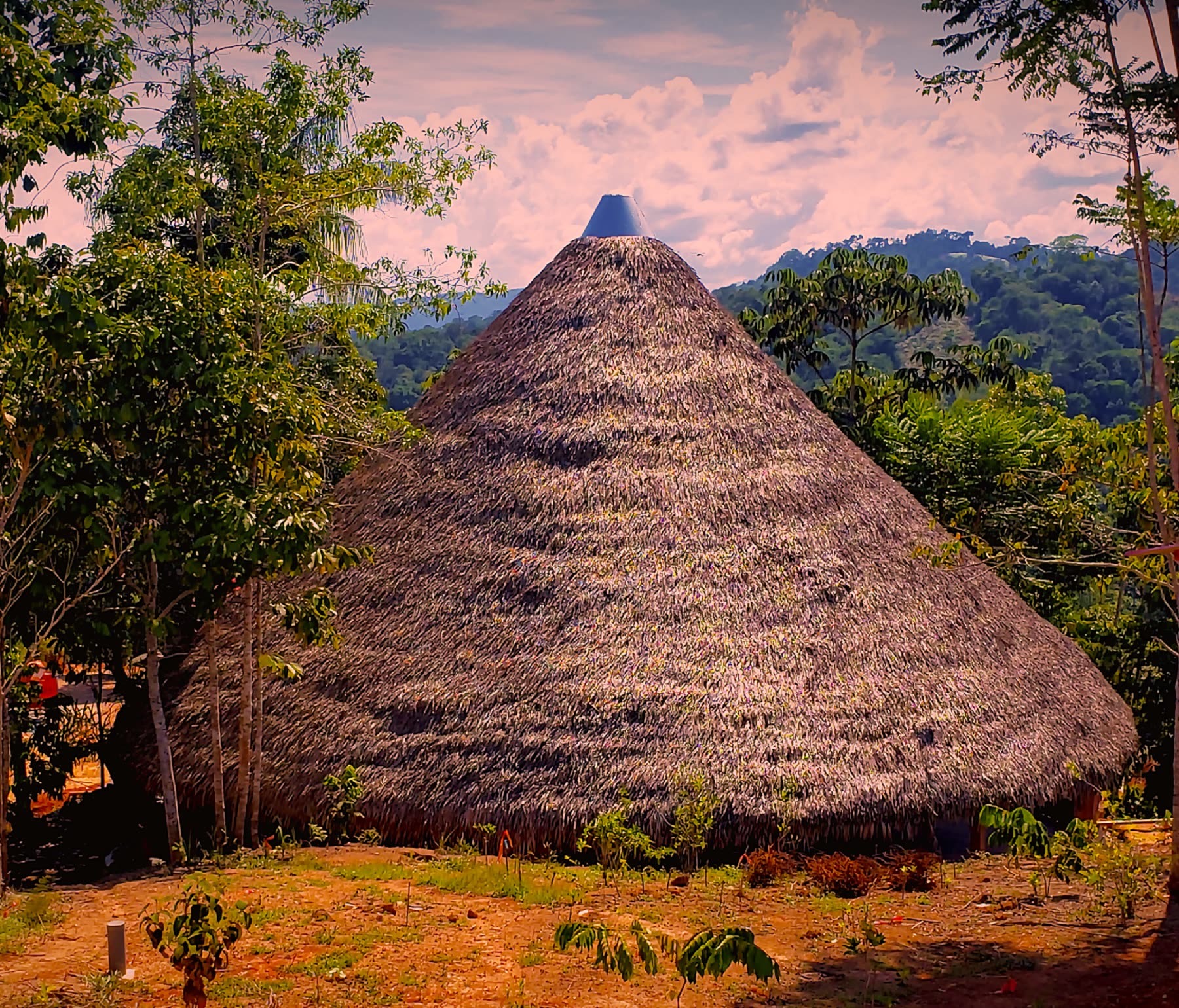 Maloka ceremonial de techo de palma rodeada de selva