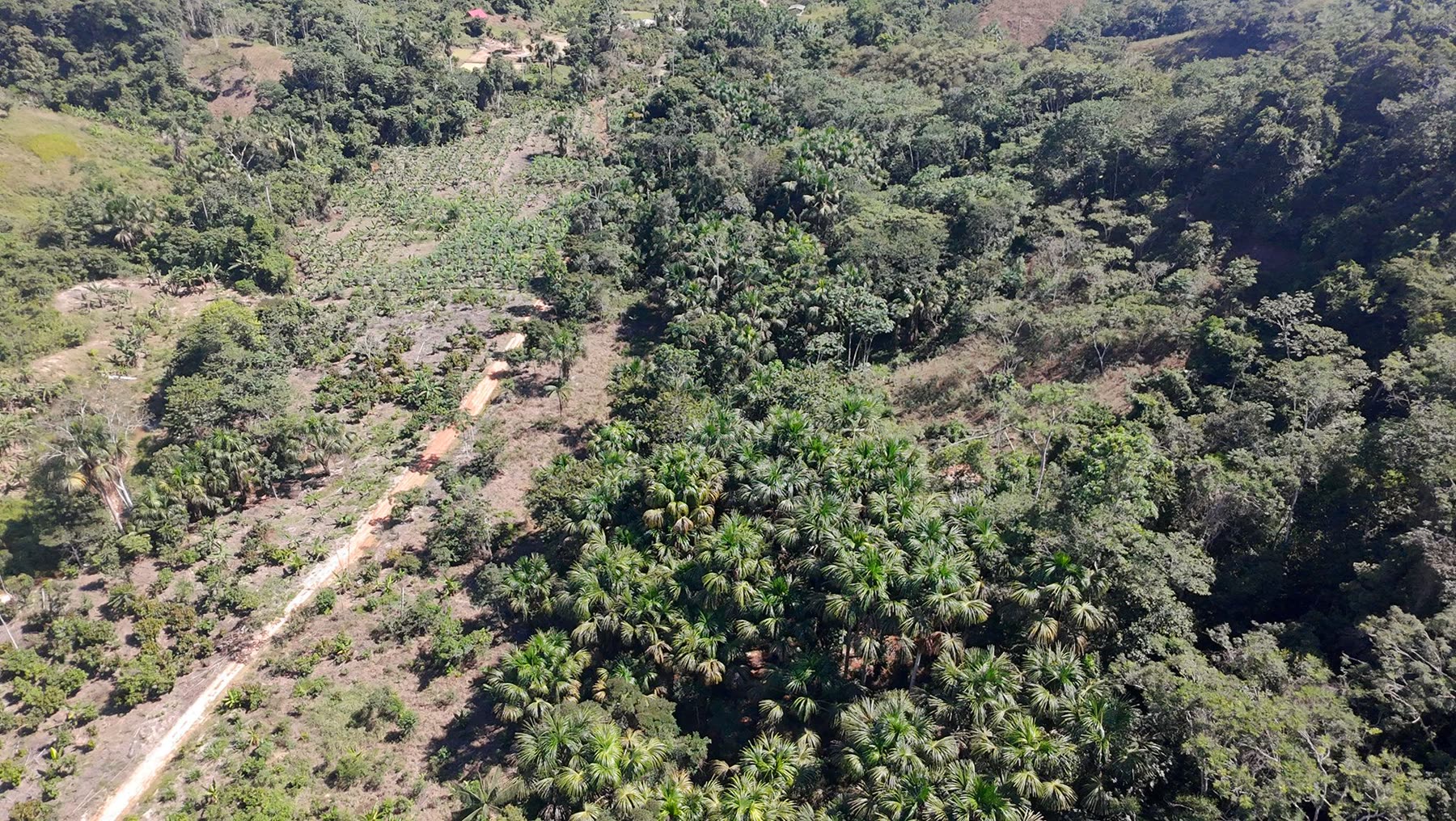 Valle verde visto desde las alturas